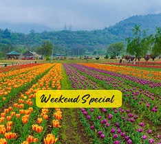 Weekend Packages